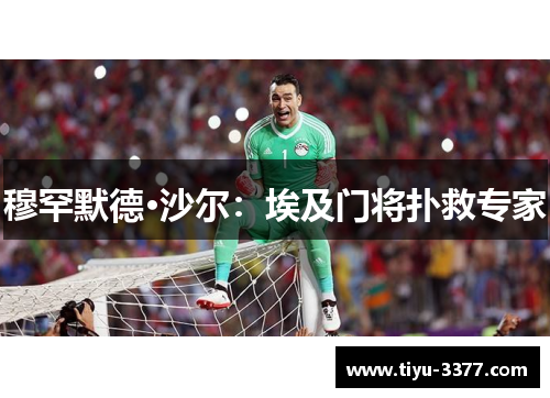 穆罕默德·沙尔：埃及门将扑救专家