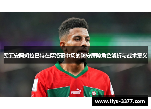 索菲安阿姆拉巴特在摩洛哥中场的防守屏障角色解析与战术意义
