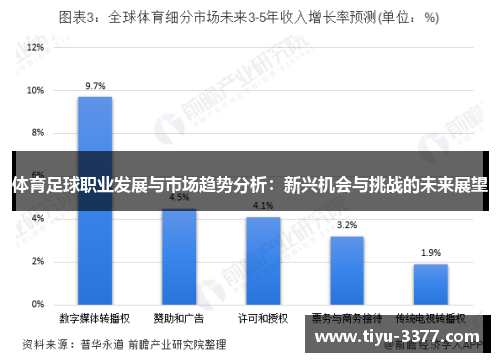 体育足球职业发展与市场趋势分析：新兴机会与挑战的未来展望