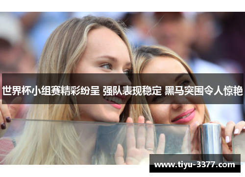 世界杯小组赛精彩纷呈 强队表现稳定 黑马突围令人惊艳