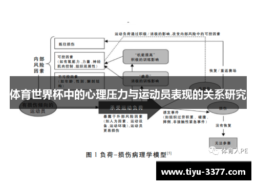 体育世界杯中的心理压力与运动员表现的关系研究