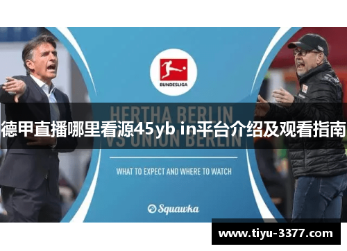 德甲直播哪里看源45yb in平台介绍及观看指南