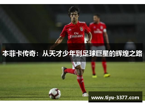 本菲卡传奇：从天才少年到足球巨星的辉煌之路