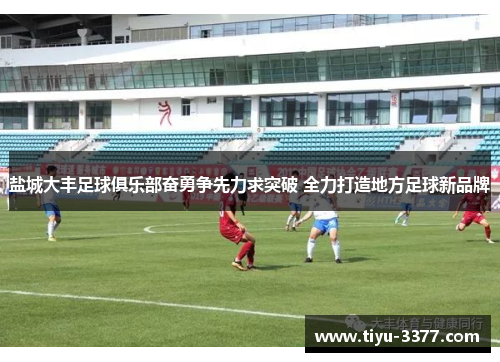 盐城大丰足球俱乐部奋勇争先力求突破 全力打造地方足球新品牌