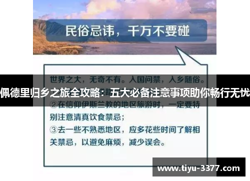 佩德里归乡之旅全攻略：五大必备注意事项助你畅行无忧