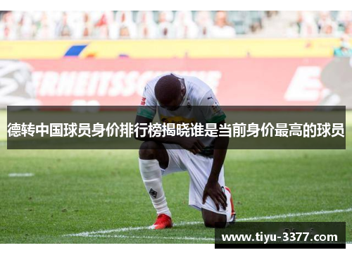德转中国球员身价排行榜揭晓谁是当前身价最高的球员