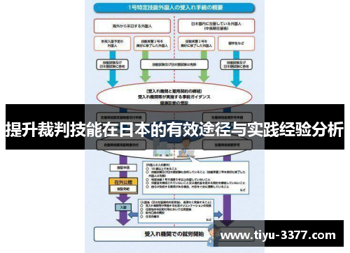 提升裁判技能在日本的有效途径与实践经验分析