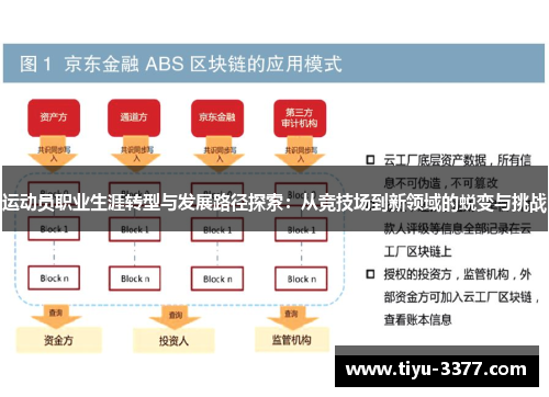 运动员职业生涯转型与发展路径探索：从竞技场到新领域的蜕变与挑战