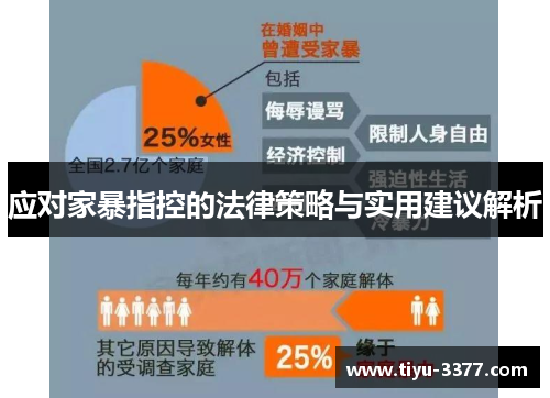 应对家暴指控的法律策略与实用建议解析