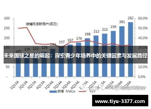 未来国球之星的崛起：探索青少年培养中的关键因素与发展路径