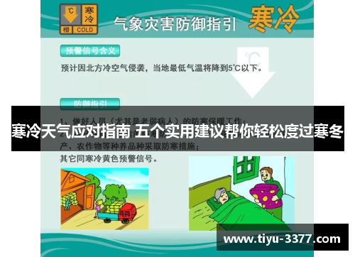 寒冷天气应对指南 五个实用建议帮你轻松度过寒冬