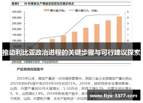推动利比亚政治进程的关键步骤与可行建议探索