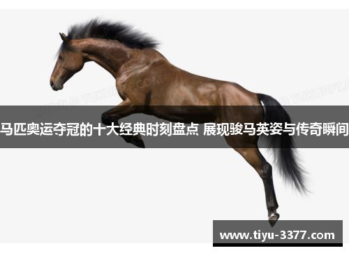 马匹奥运夺冠的十大经典时刻盘点 展现骏马英姿与传奇瞬间