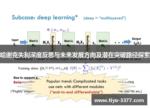 哈谢克失利深度反思与未来发展方向及潜在突破路径探索
