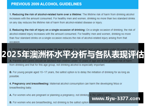 2025年澳洲杯水平分析与各队表现评估