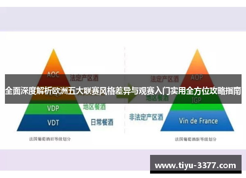 全面深度解析欧洲五大联赛风格差异与观赛入门实用全方位攻略指南 全面深度解析欧洲五大联赛风格差异与观赛入门实用全方位攻略指南