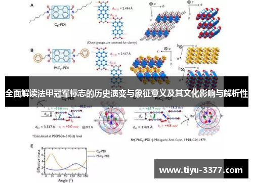 全面解读法甲冠军标志的历史演变与象征意义及其文化影响与解析性