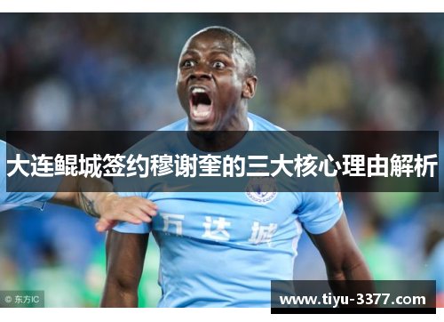 大连鲲城签约穆谢奎的三大核心理由解析