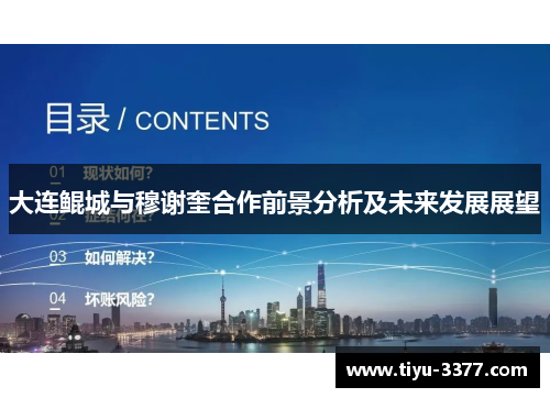 大连鲲城与穆谢奎合作前景分析及未来发展展望