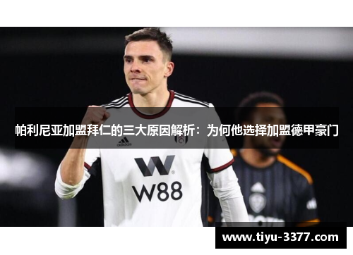 帕利尼亚加盟拜仁的三大原因解析：为何他选择加盟德甲豪门