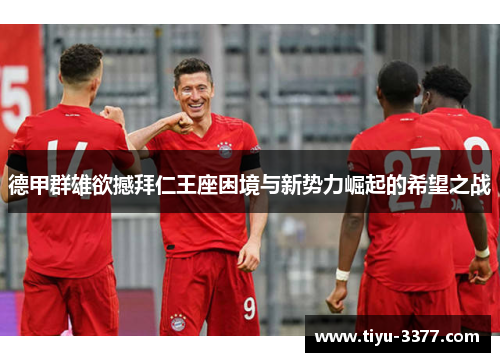 德甲群雄欲撼拜仁王座困境与新势力崛起的希望之战