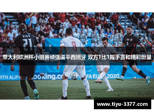 意大利欧洲杯小组赛顽强逼平西班牙 双方1比1握手言和精彩纷呈 意大利欧洲杯小组赛顽强逼平西班牙 双方1比1握手言和精彩纷呈