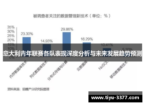 意大利青年联赛各队表现深度分析与未来发展趋势预测