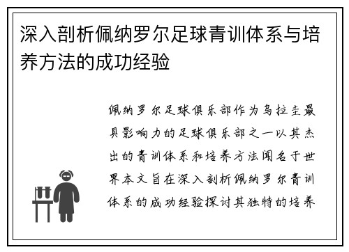 深入剖析佩纳罗尔足球青训体系与培养方法的成功经验